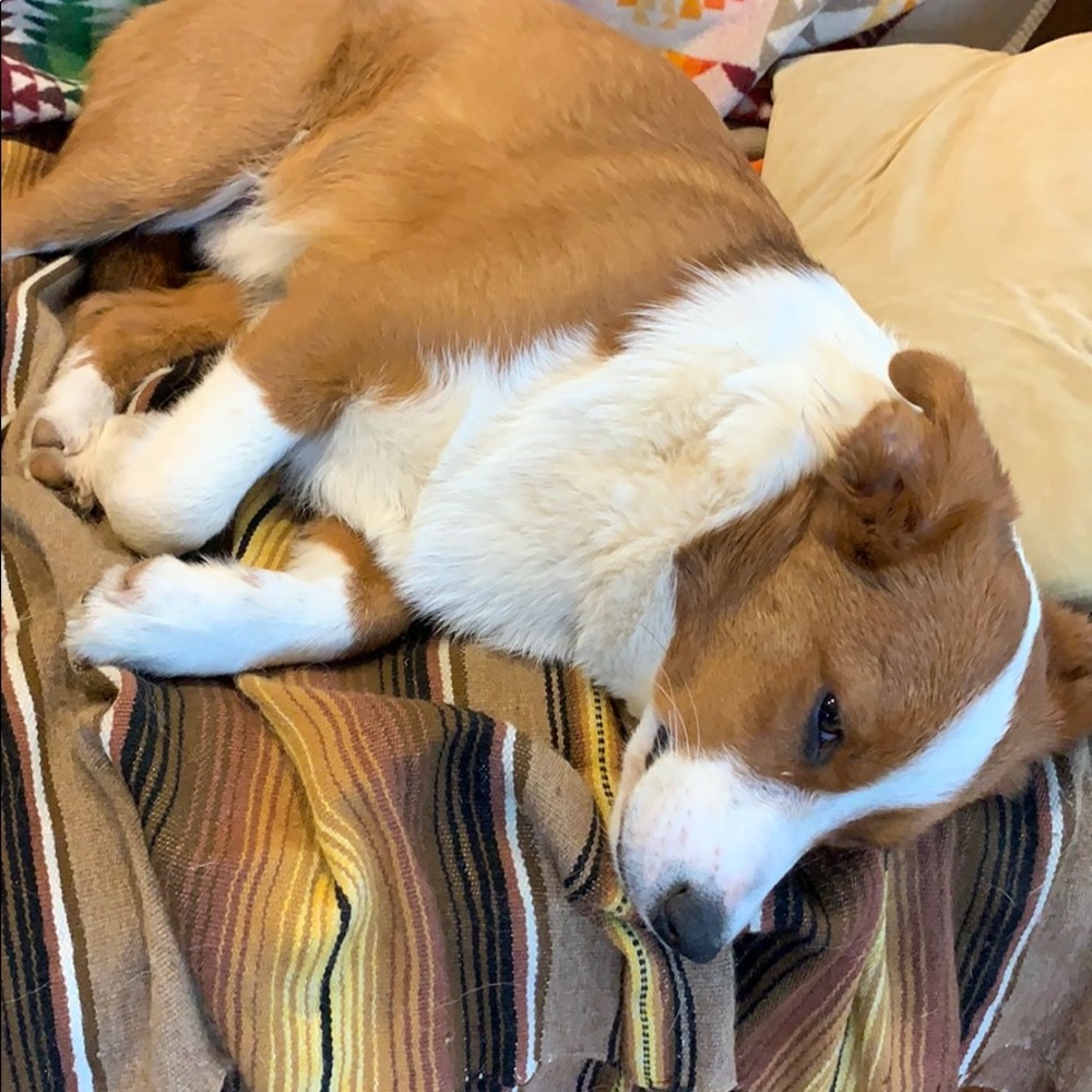 Meet your Posher, Hannah